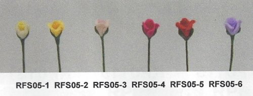(image for) RFS05-2