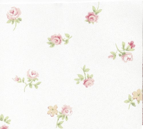 (image for) NC125.01