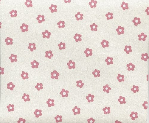 (image for) NC126.01