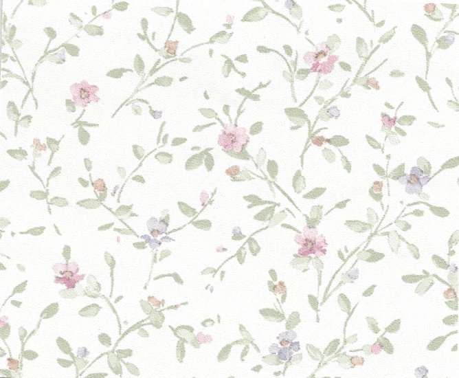 (image for) NC135.01