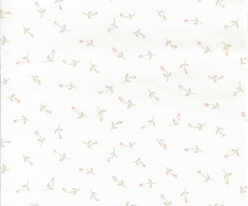 (image for) NC137.01