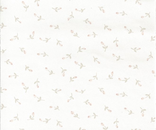 (image for) NC137.01