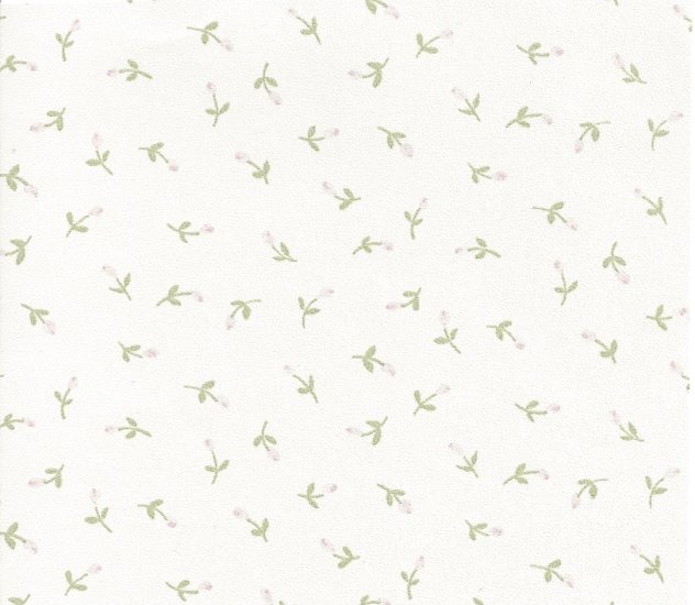 (image for) NC137.03