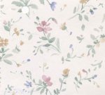 (image for) NC764.02