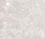 (image for) NC783.07