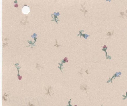 (image for) NC917.04