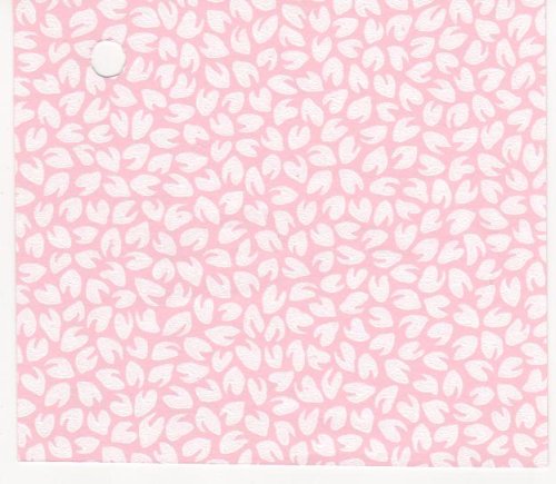 (image for) NC965.01