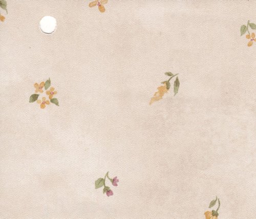 (image for) NC976.04