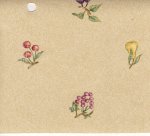 (image for) NC988.04