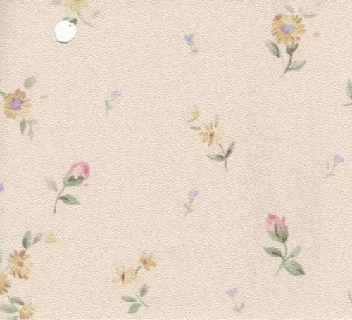 (image for) NC992.04