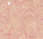 (image for) NC997.01