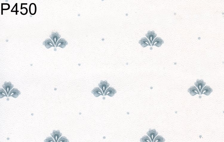 (image for) WP450