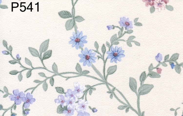 (image for) WP541