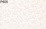 (image for) WP605