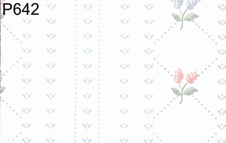 (image for) WP642