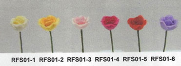 RFS01-6