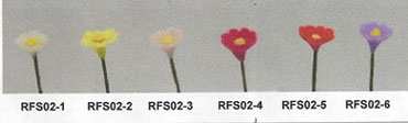 RFS02-1