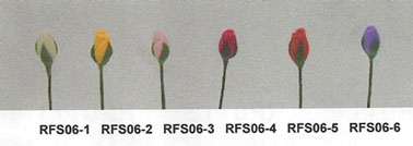 (image for) RFS06-3