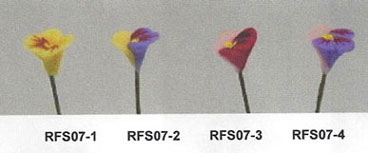 RFS07-3
