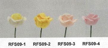 (image for) RFS09-5