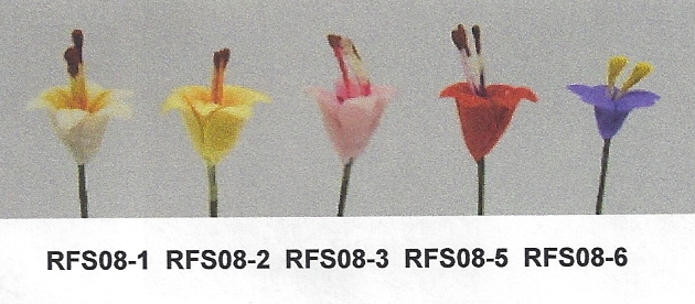 (image for) RFS08-1